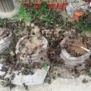 미애농장 이미지