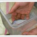 궁항초등학교 이미지