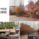 반포광성공인중개사사무소 이미지