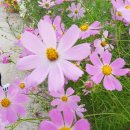 한마음체육공원화장실 이미지