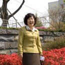 선몰 이미지