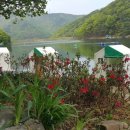 천평낚시터 이미지