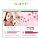 세이프앤워시