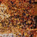 41190-01-07-285 | [제주도 여행지 추천] 워터월드 제주 워터월드 제주, 사계절 물놀이