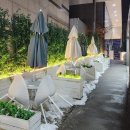 (주)동화에너지 | 강남역 대형카페 주차 디저트 맛집 셀렉티드닉스에서 스터디 후기 (두쫀쿠 있음)