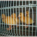 은찬농장 이미지