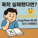 마르하반 아랍어 회화 초급 | LingoDeer(링고디어), 아시아 언어 학습에 특화된 앱 5가지 장점과 활용법