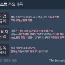 금소 티스토리