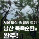 손목닥터9988 남산 걷기 챌린지 A코스 후기｜도심 속 5km 힐링 산책