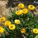 백구면사무소 이미지