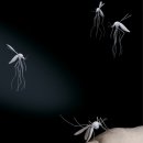 모긴미술관 이미지