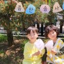 석실로317번길 70 이미지
