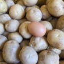 혜성농장 이미지