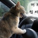 휴대폰플라자 이미지