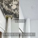 팔팔빌라 | 대구탄성 대명동 구축 빌라탄성 인테리어 베란다 곰팡이제거 탄성코트시공 후기