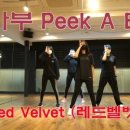 벨벳(Vel Vet) 이미지