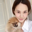 아이비 이미지