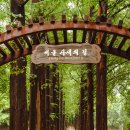 서울숲10 이미지