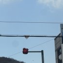 귤담 스테이 | [경기 광주] 시고르 스테이 촌캉스 | 도파민 가득했던 여행 (with 알러5ㅣ)