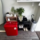 늘솔길애견미용실 이미지