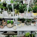 율하농장 이미지