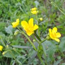 선인목장 이미지