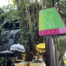🌿 발리 우붓 클레어 카페 Clear Cafe, 건강과 감성을 한 번에 즐기는 힐링 스팟