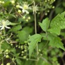 도룡 경로당 이미지