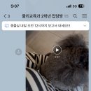 제천 그레이스 동물병원 이미지