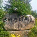 단양소백산펜션