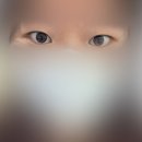 브로우돌 | [원주 속눈썹] ‘원주브로우돌’ 속눈썹 연장 가격 및 솔직후기