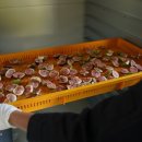 가연스테이& 가연팜 이미지