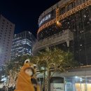 장 미디어 | 신세계 미디어파사드 2025 후기, 시간, 일정, 자리추천