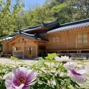 황석산펜션 | 황석산 근처 숙소 추천 5곳 - 경치 가성비 좋은 펜션 호텔