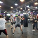 코리안 복싱클럽 이미지