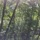 신흥로56번길 이미지