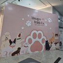 견우농장 | [하남역사박물관/Always With Us; 아깽이와 댕댕이 그리고 집사] 귀여운 동물들을 한꺼번에 왕창 볼 수...