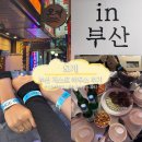 김치 게스트하우스 | [부산] 부산 혼자 여행 게스트 하우스 오게 후기