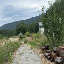 프롬도마 이미지