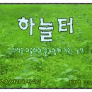 하늘&풀농장