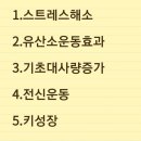 잼있는점핑체온다이어트 이미지