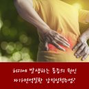 용인성모의원 이미지