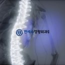 허외과의원 이미지