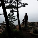 꾸지나무골해수욕장 이미지