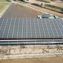 성심 태양광발전소 이미지