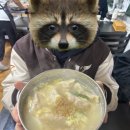 강원대학교 동물생명과학대학 부속목장 | 강원대학교 부속목장 봉사활동 (+ 춘천 레전드 만두국 맛집)