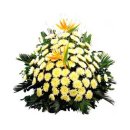 신평초교 이미지