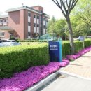 한국교원대학교부설고등학교 이미지