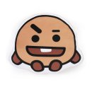 슈키 이미지
