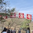 월오동묵집 이미지